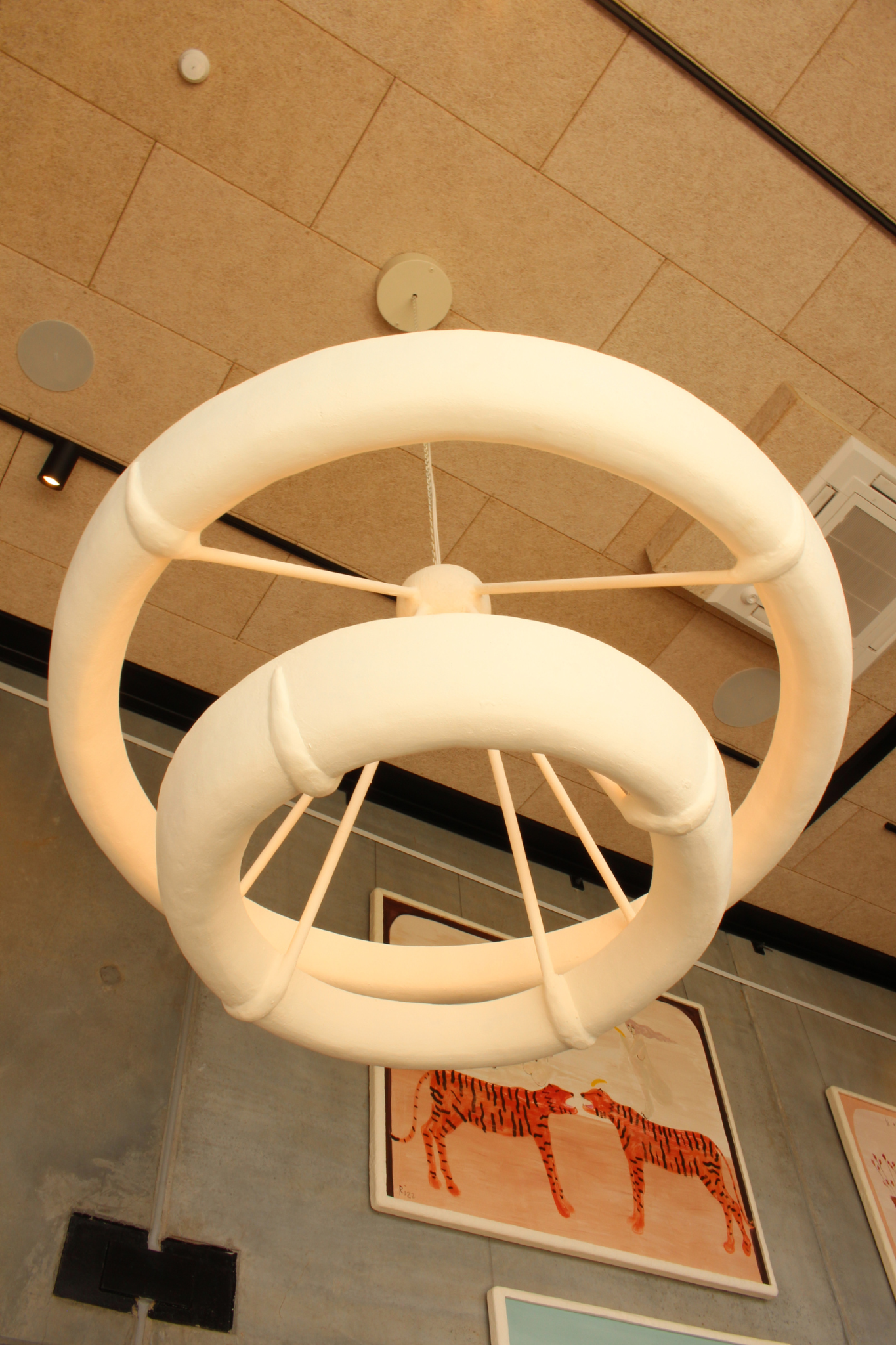 Double Aura Hanging light