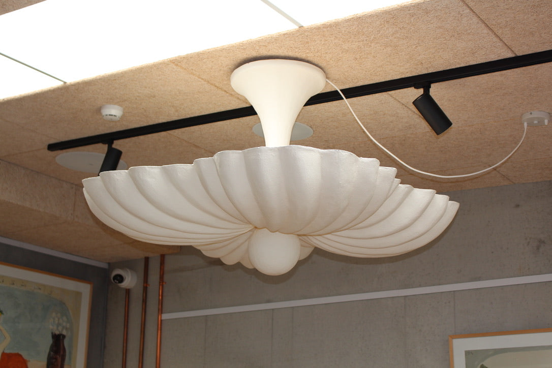Moreau | Hanging Light The Medium