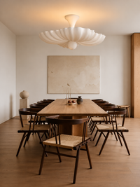 Moreau | Hanging Light