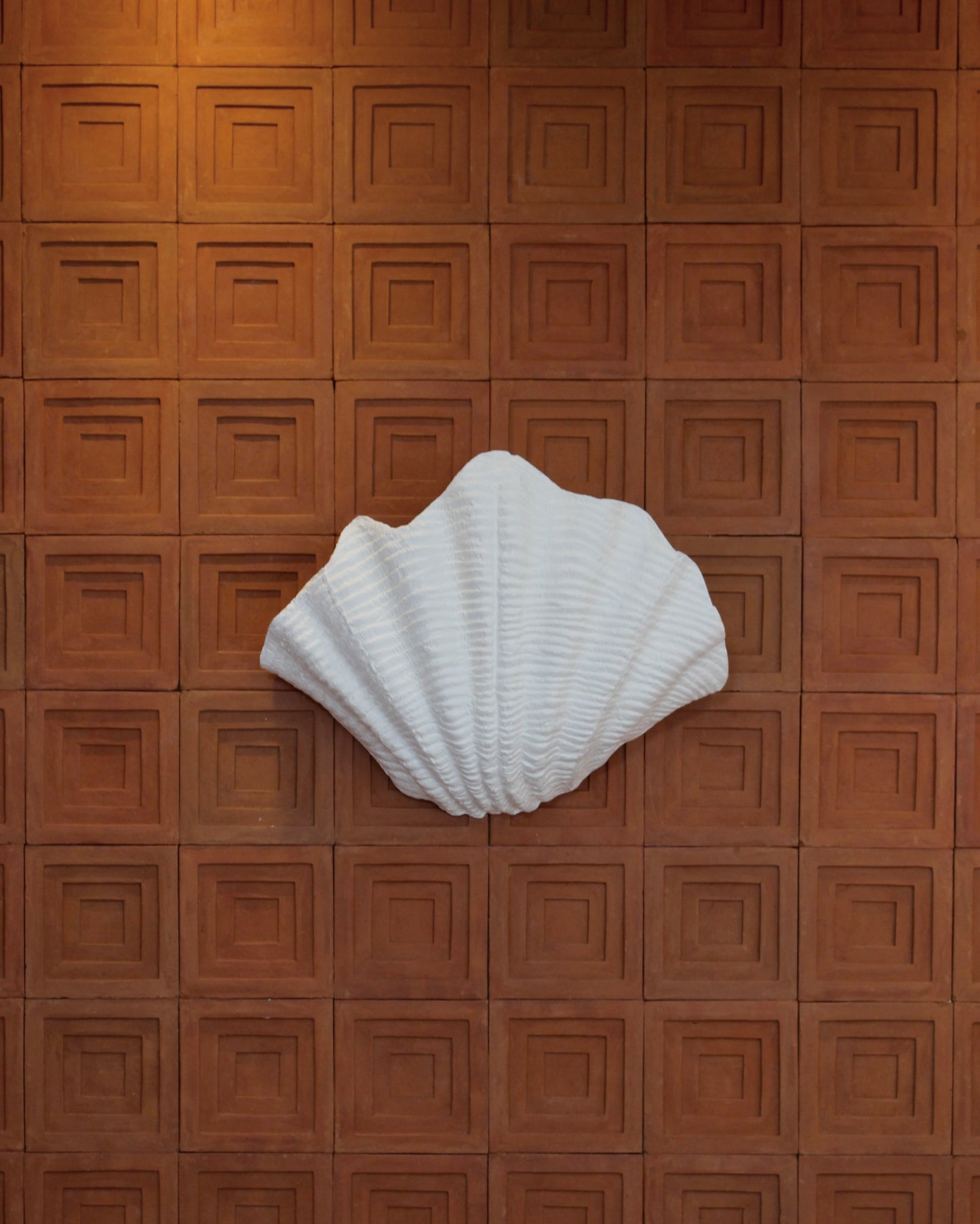 Shell Wall Light