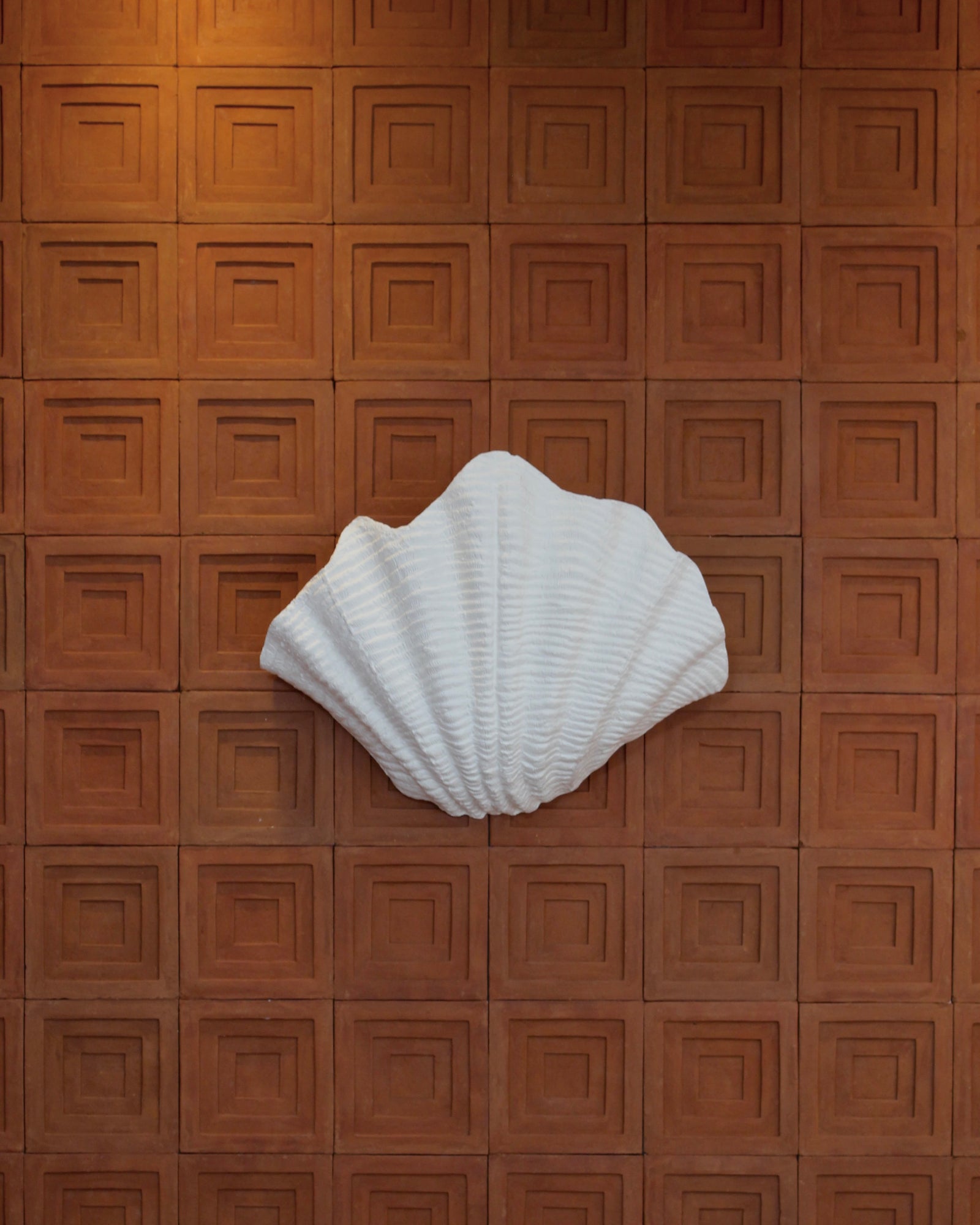 Shell | Wall Light The Medium