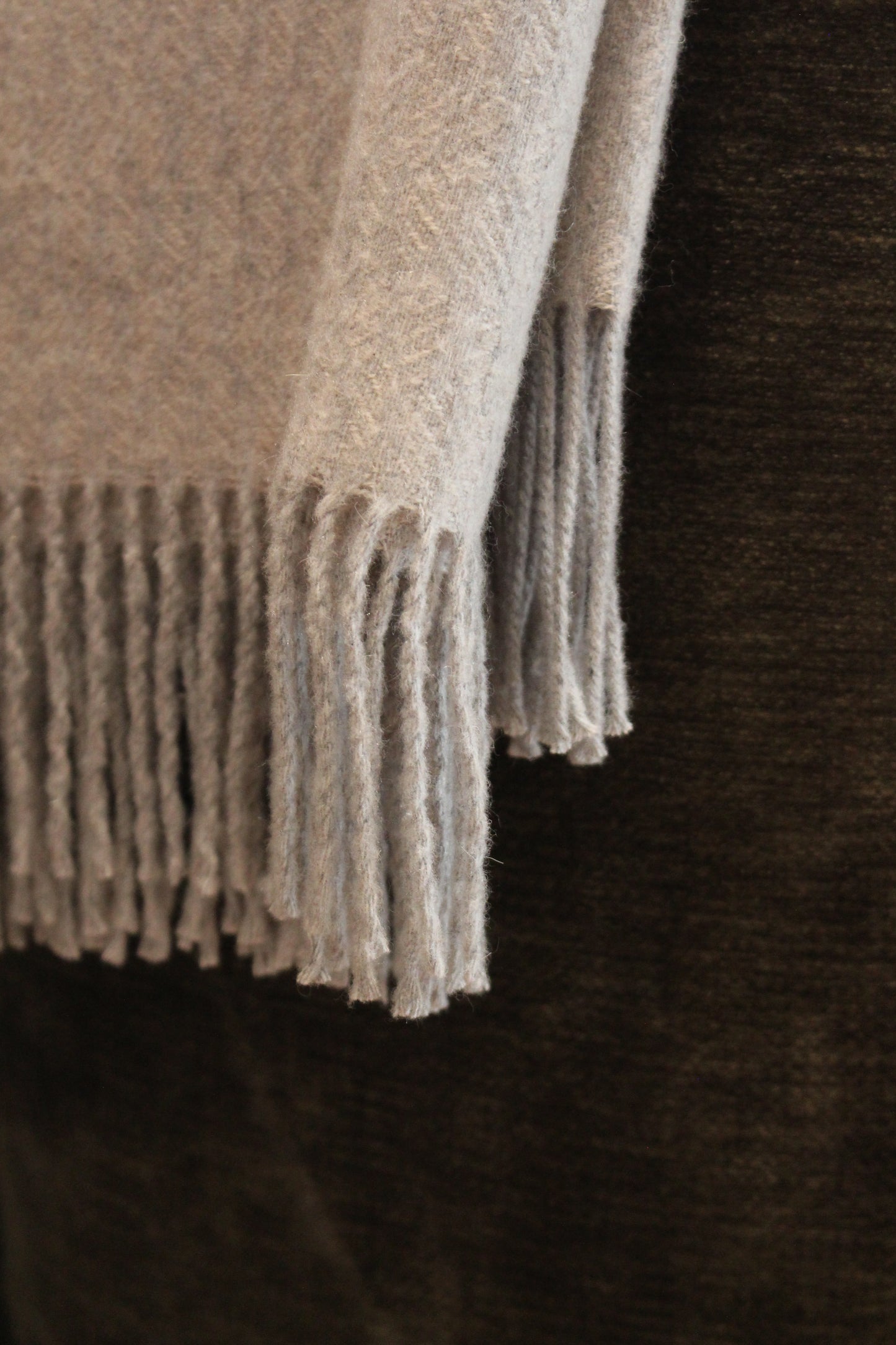 Grifone | Blanket Amier Home