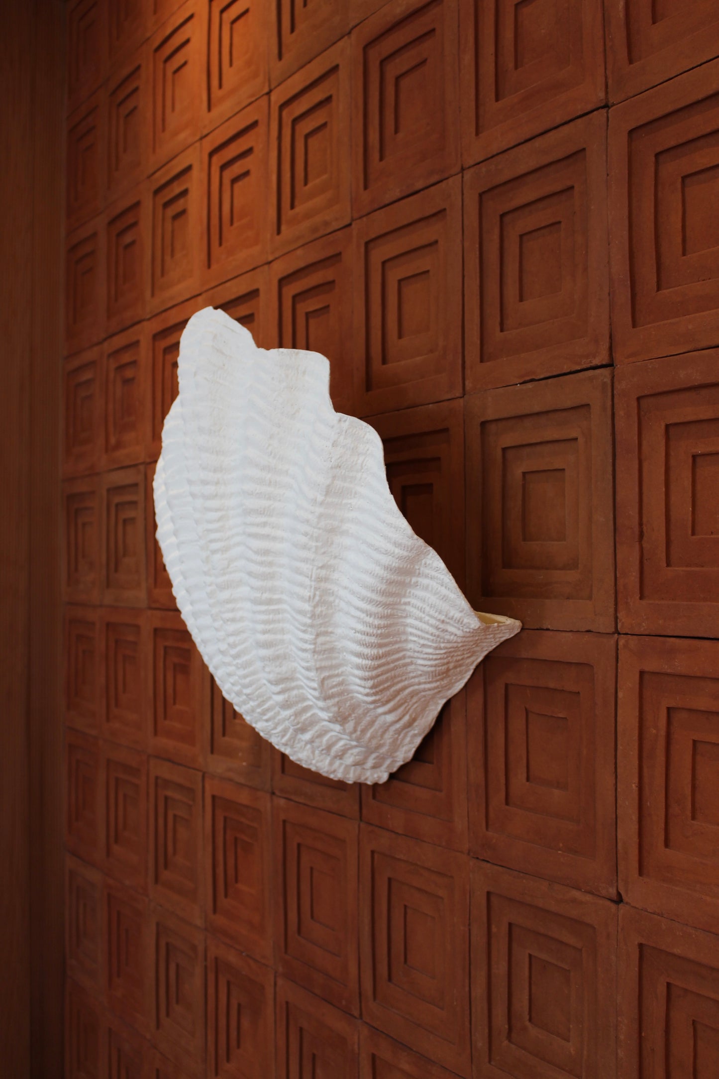 Shell Wall Light