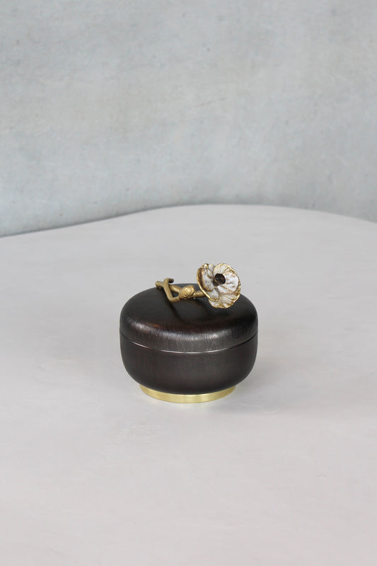 Anemone Covered Candy Dish