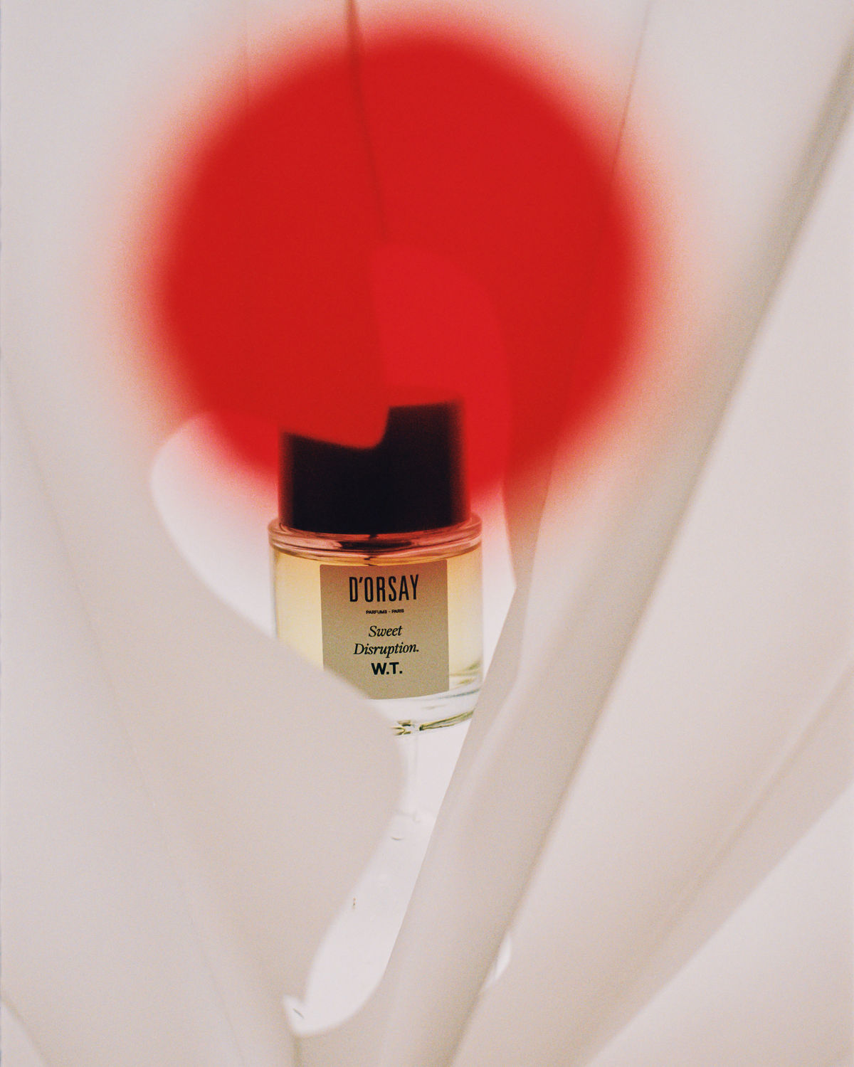 W.T Perfume | D'Orsay