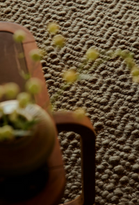 Arroyo | Rug Collection