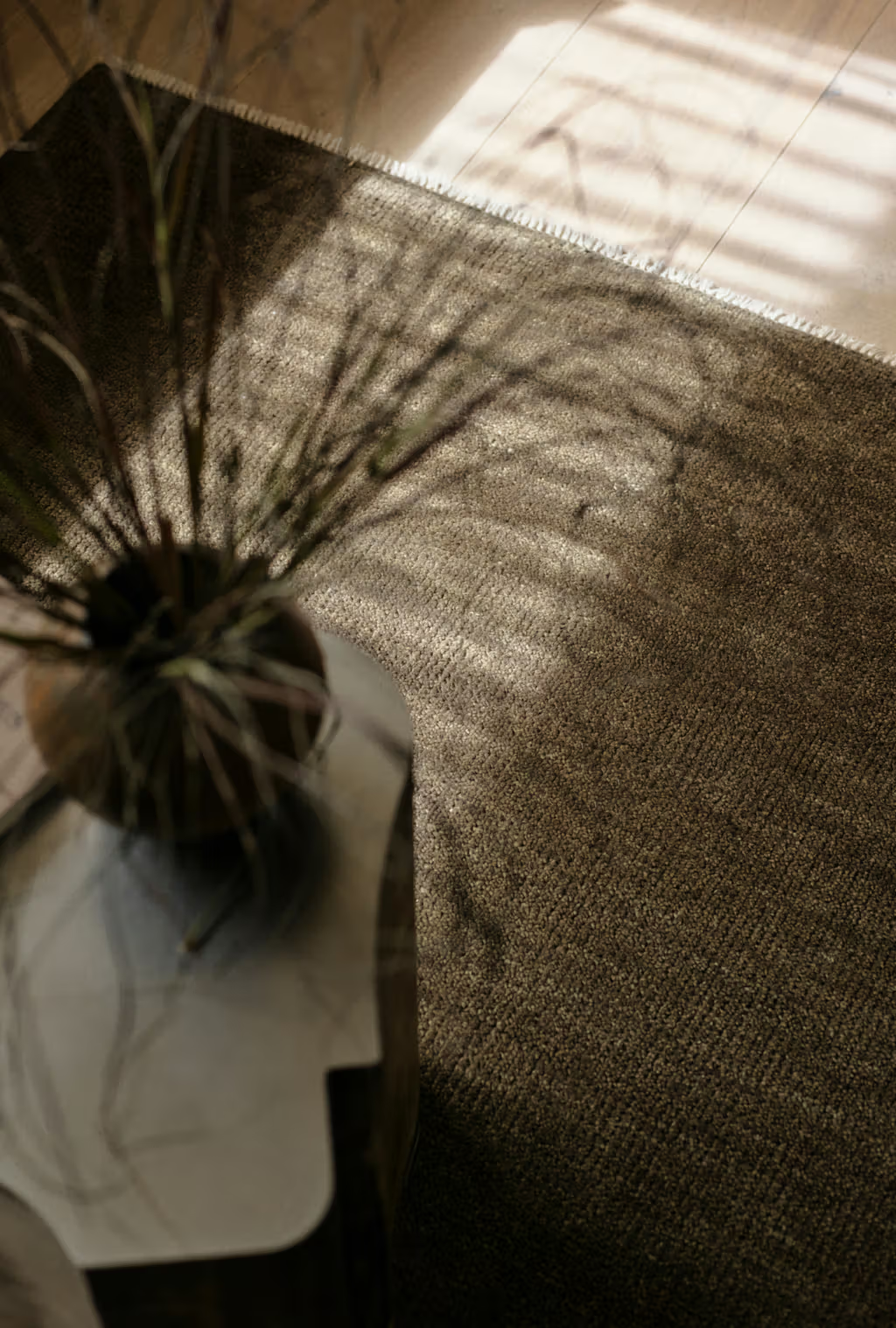 Thatch | Rug Collection