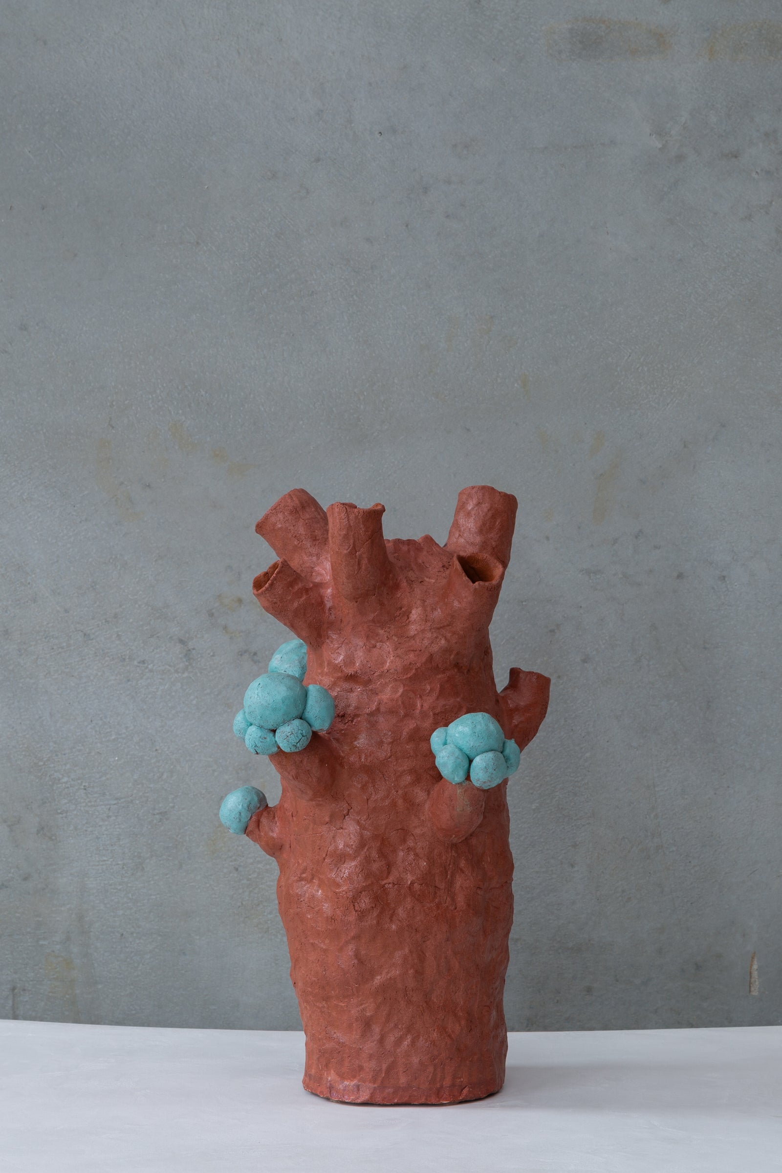 Sequoia | Sculpture Nebula Craftwork
