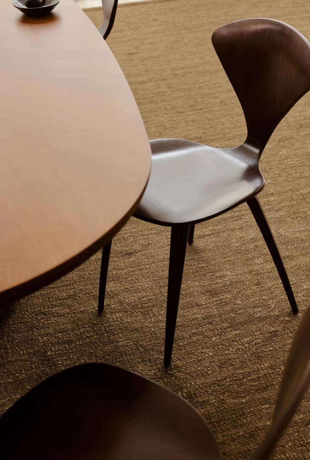 Latitude | Rug Collection