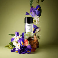 L.B Perfume | D'Orsay D'Orsay