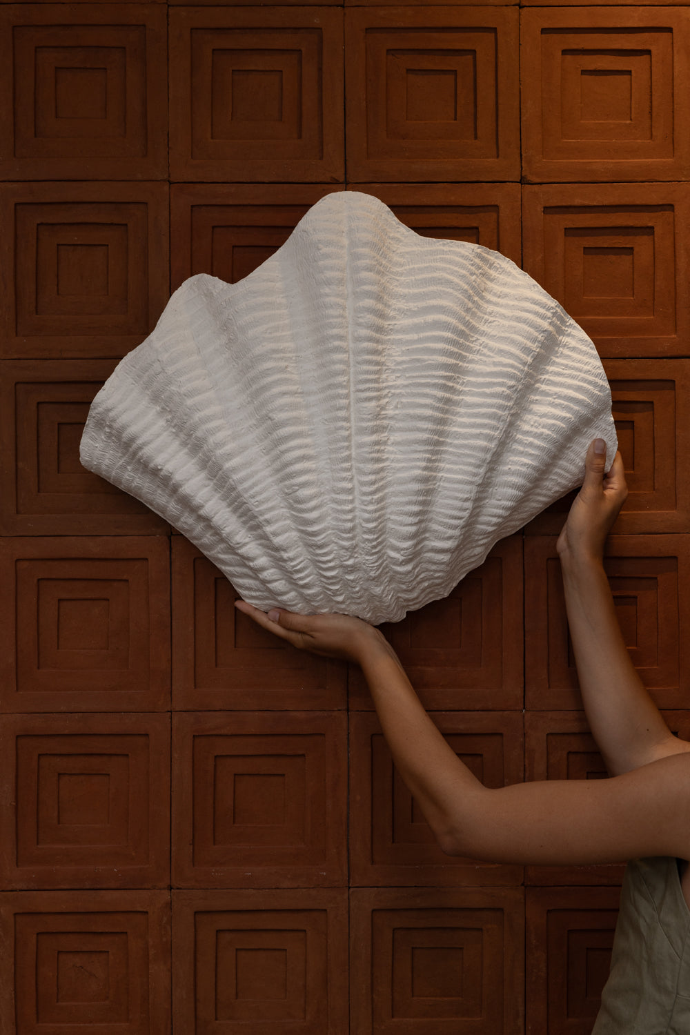 Shell | Wall Light The Medium