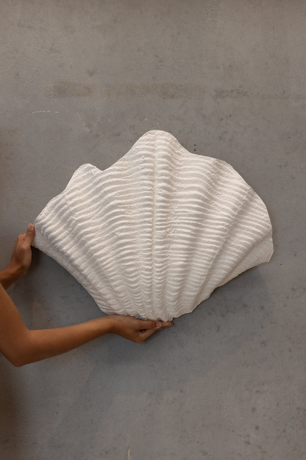 Shell | Wall Light The Medium