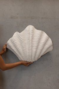 Shell | Wall Light The Medium