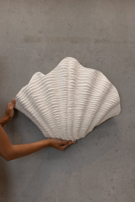 Shell | Wall Light The Medium