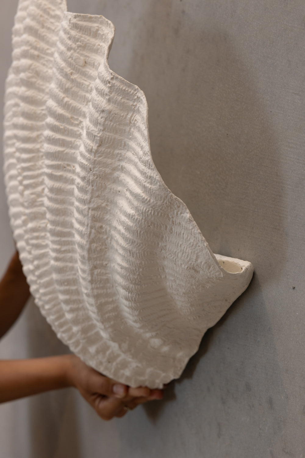 Shell | Wall Light The Medium