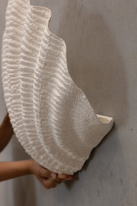 Shell | Wall Light The Medium