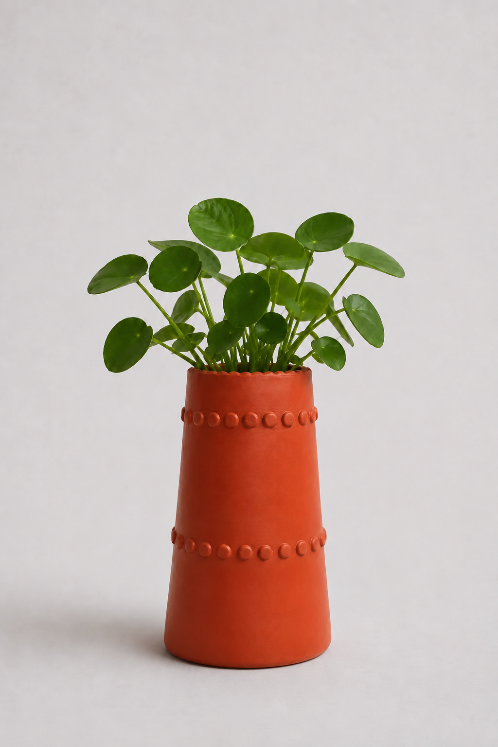 Benic Pot | Terracotta