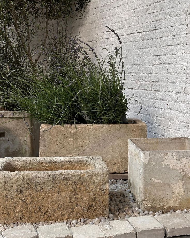 Pot | Limestone