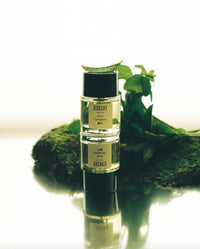 W.T Perfume | D'Orsay
