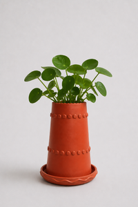 Benic Pot | Terracotta