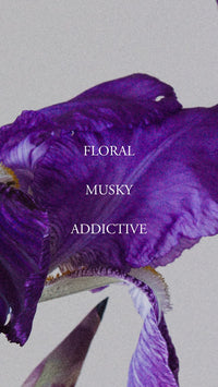 E.Q Perfume | D'Orsay