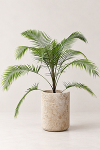 Mediterranean Planter | White Marble
